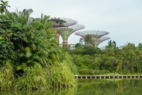 Giardini vicino alla baia di Singapore — Foto Stock