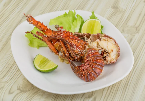 Spiny lobster — Stock Photo, Image