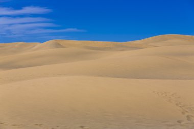 Kanarya Adası'çöl