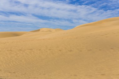 Kanarya Adası'çöl