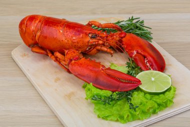 haşlanmış ıstakoz