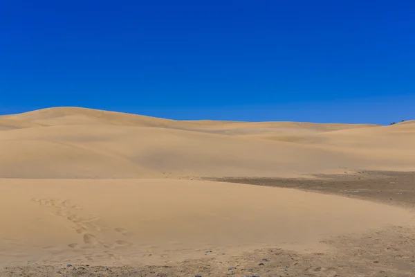 Maspalomas Duna alle Canarie — Foto Stock