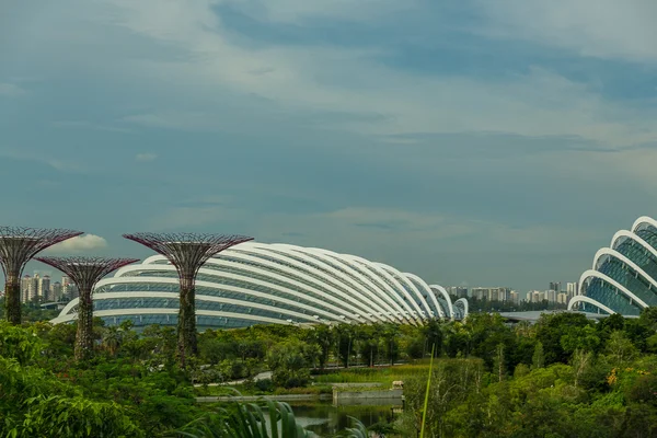 Gardens by the Bay  in Singapore. — Stock Photo, Image