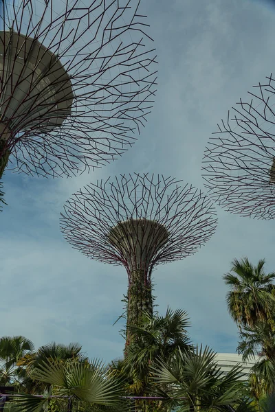 Trädgårdar vid bukten i Singapore. — Stockfoto