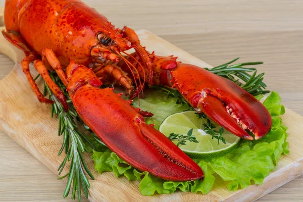 Boiled lobster — Stock Photo, Image