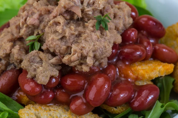 Insalata di tonno — Foto Stock