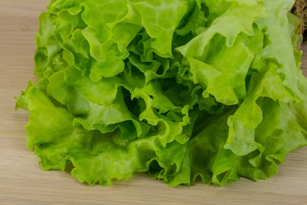 Foglie di insalata — Foto Stock