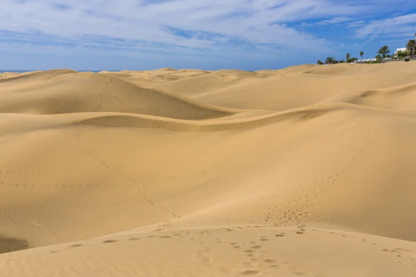 Maspalomas Duna auf den Kanarischen Inseln — Stockfoto