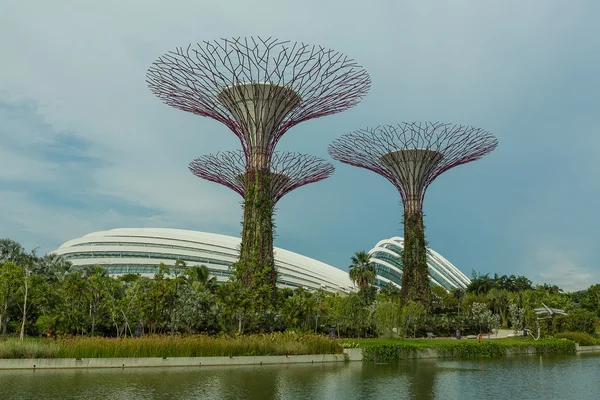 CINGAPORE - 12 de maio: Jardins perto da Baía em 12 de março de 2014 em Singap — Fotografia de Stock