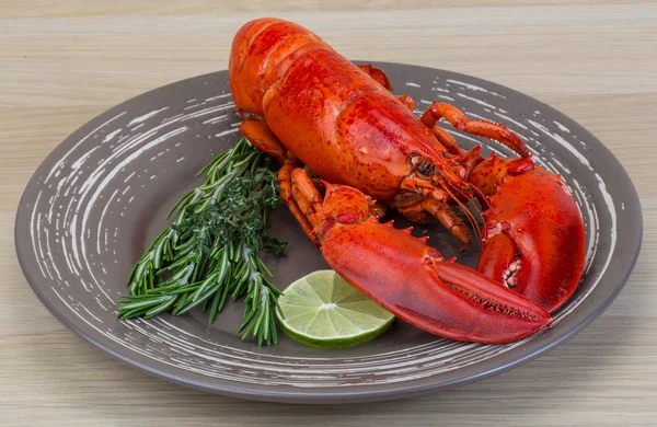 Boiled lobster — Stock Photo, Image