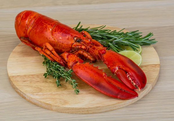 Red boiled lobster — Stock Photo, Image