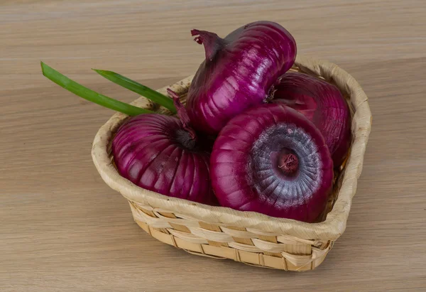 Cebola violeta — Fotografia de Stock