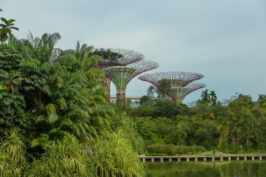 Singapur - 12 Mayıs: mar 12, 2014 yılında singap körfezde bahçelerle