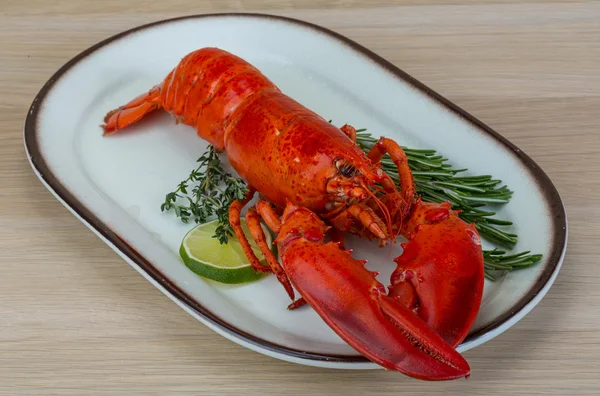 Boiled lobster — Stock Photo, Image