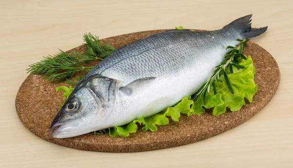 Raw seabass — Stock Photo, Image