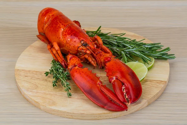 Boiled lobster — Stock Photo, Image