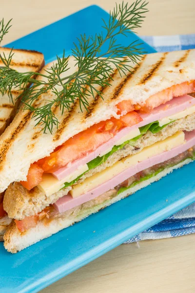 Sandwich club — Foto Stock