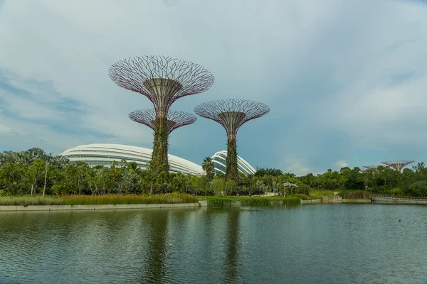 CINGAPORE - 12 de maio: Jardins perto da Baía em 12 de março de 2014 em Singap — Fotografia de Stock