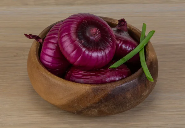 Cebolla violeta — Foto de Stock