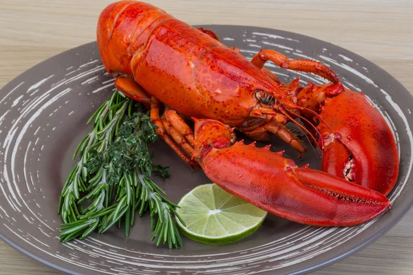 Red boiled lobster — Stock Photo, Image