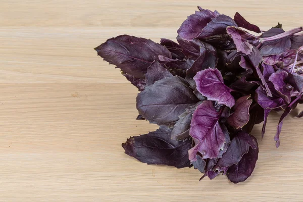 Albahaca violeta —  Fotos de Stock