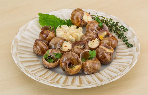 Escargot — Stockfoto