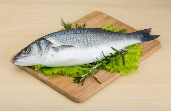 Raw seabass — Stock Photo, Image