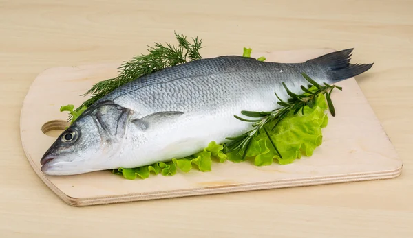 Raw seabass — Stock Photo, Image