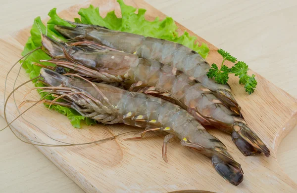 Camarones tigre crudos —  Fotos de Stock