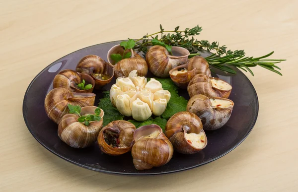 Escargot — Foto Stock