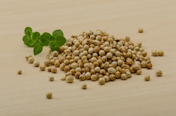 Coriander seeds — Stock Photo, Image