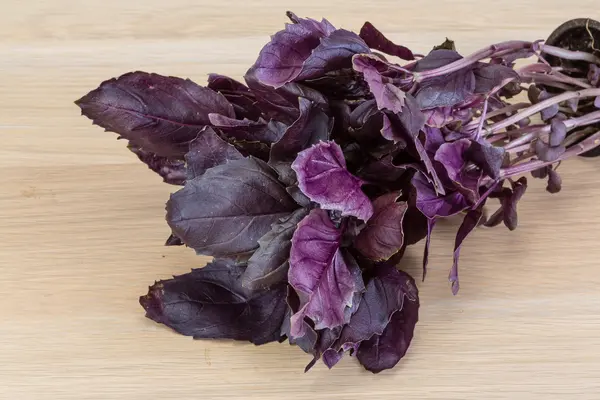 Albahaca violeta —  Fotos de Stock