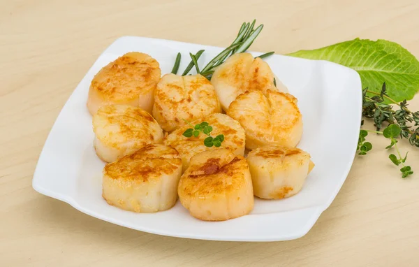 Grilled scallops — Stock Photo, Image