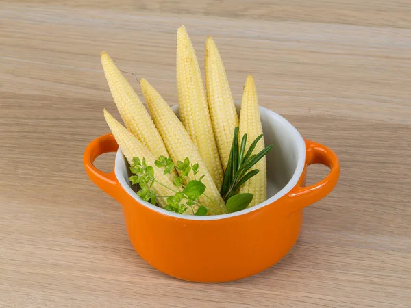 Baby corn — Stock Photo, Image