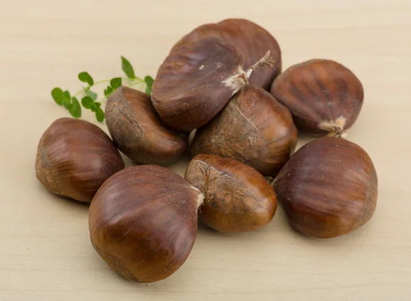 Chestnut — Stock Photo, Image