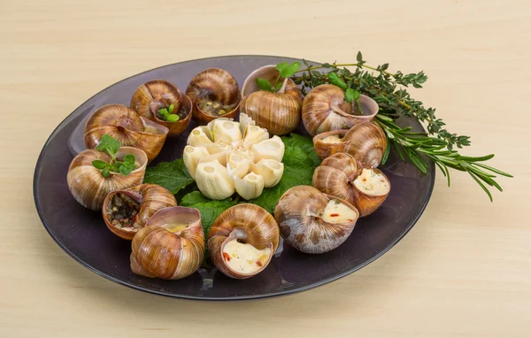 Escargot — Foto Stock