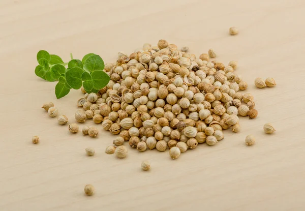 Coriander seeds — Stock Photo, Image