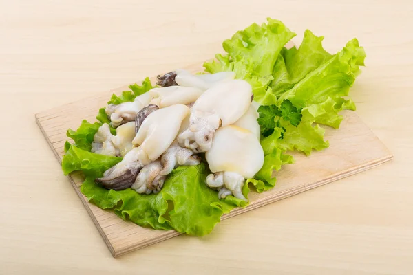 Raw cuttlefish — Stock Photo, Image