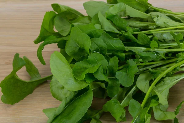 Rucola foglie — Foto Stock