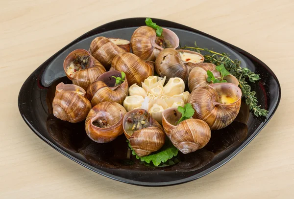 Escargot — Foto Stock