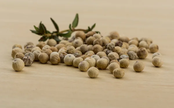 White pepper seeds — Stock Photo, Image