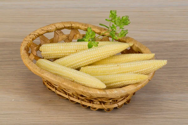 Baby corn — Stockfoto