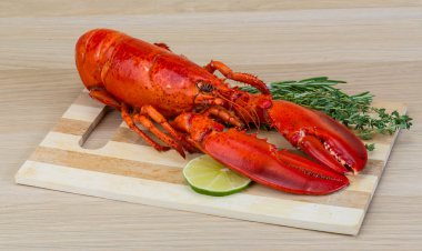 haşlanmış ıstakoz