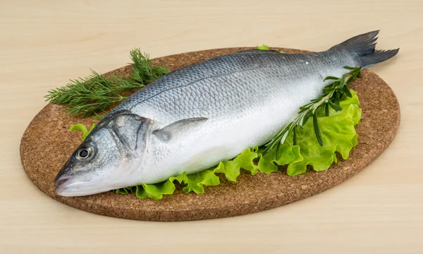 Raw seabass — Stock Photo, Image