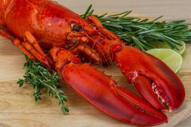 Kırmızı haşlanmış ıstakoz