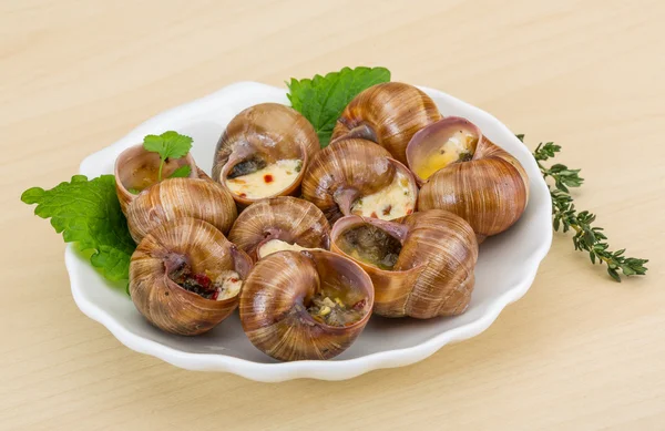 Escargot — Stockfoto