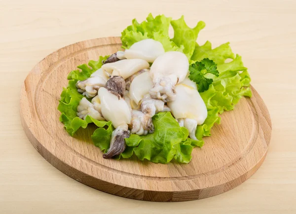 Raw cuttlefish — Stock Photo, Image