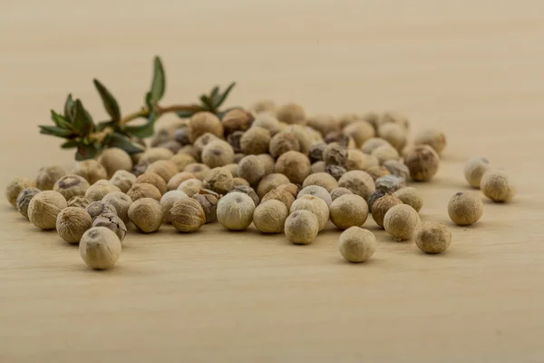 Semillas de pimienta blanca — Foto de Stock