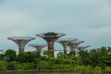Singapur - 12 Mayıs: mar 12, 2014 yılında singap körfezde bahçelerle