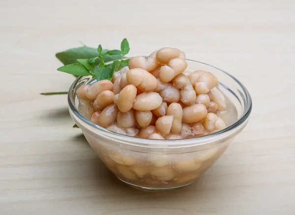 화이트 콩 통조림 — 스톡 사진